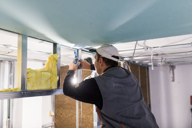 Types of Insulation We Offer in Poydras, LA