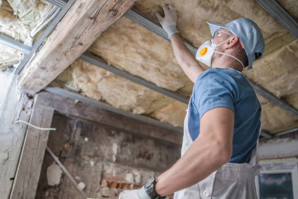 Best Cellulose Insulation in Poydras, LA