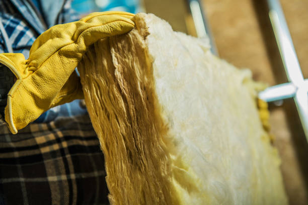 Best Specialized Insulation Services in Poydras, LA
